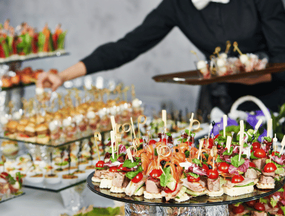 Catering profesional